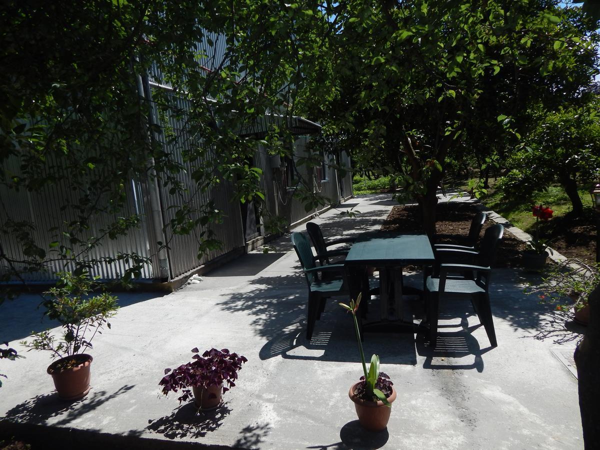 Guest House On Angisa Μπατούμι Εξωτερικό φωτογραφία